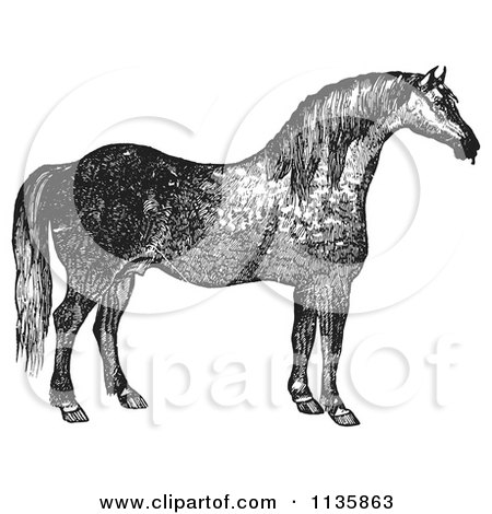 Clipart Of A Retro Vintage Engraved Horse In Black And White - Royalty Free Vector Illustration by Picsburg