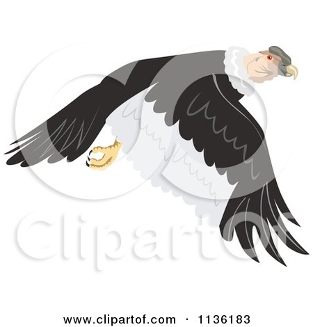 Clipart Of A Flying Condor Vulture - Royalty Free Vector Illustration by patrimonio