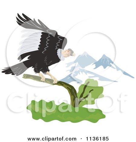 Clipart Of A Condor Vulture Landing Near Mountains - Royalty Free Vector Illustration by patrimonio