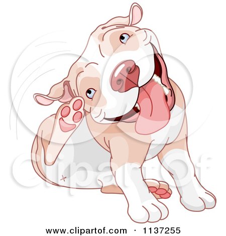 Cartoon Of A Happy Pit Bull Dog Itching His Ear - Royalty Free Vector Clipart by Pushkin