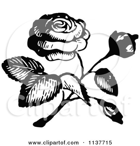 Clipart Of A Retro Vintage Black And White Rose 2 - Royalty Free Vector Illustration by Prawny Vintage