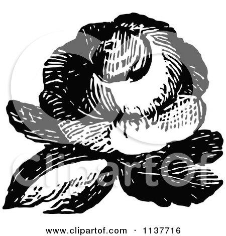 Clipart Of A Retro Vintage Black And White Rose 3 - Royalty Free Vector Illustration by Prawny Vintage