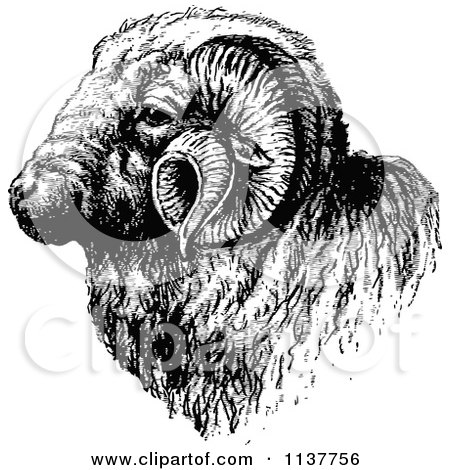 Clipart Of A Retro Vintage Black And White Ram Head - Royalty Free Vector Illustration by Prawny Vintage