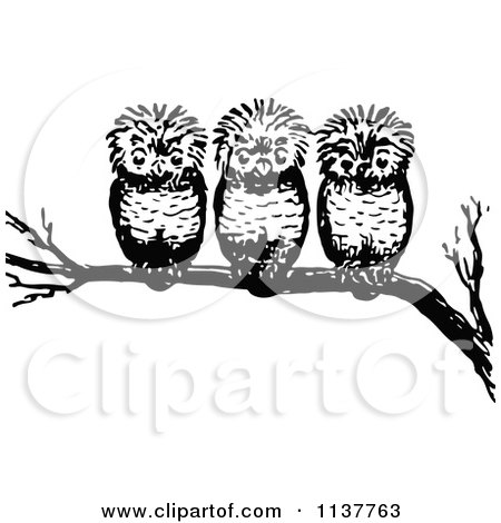 Clipart Of Retro Vintage Black And White Three Owls On A Branch - Royalty Free Vector Illustration by Prawny Vintage