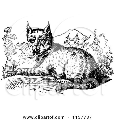 Clipart Of A Retro Vintage Black And White Resting Bobcat - Royalty Free Vector Illustration by Prawny Vintage