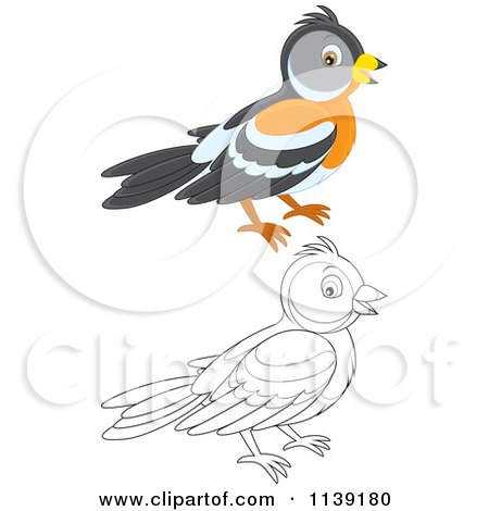 Cartoon Of A Cute Colored And Black And White Bird - Vector Clipart by Alex Bannykh