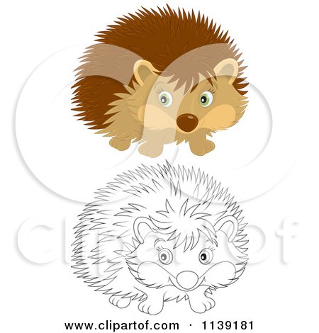 Cartoon Of A Cute Brown And Black And White Hedgehog - Royalty Free Vector Clipart by Alex Bannykh