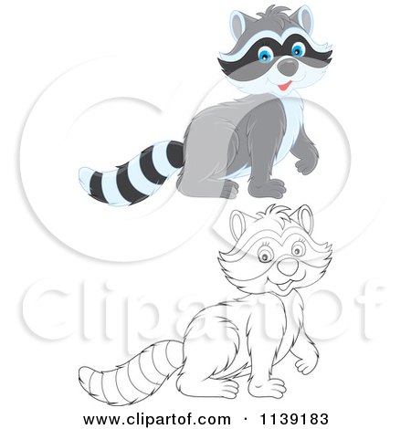 Cartoon Of A Cute Colored And Black And White Raccoon - Royalty Free Vector Clipart by Alex Bannykh