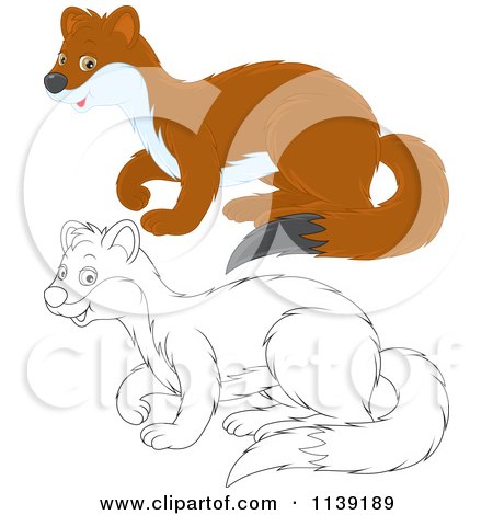 Cartoon Of A Cute Brown And Black And White Weasel - Royalty Free Vector Clipart by Alex Bannykh