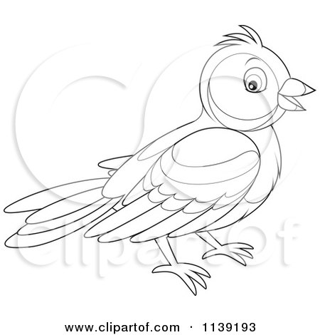 Cartoon Of A Cute Black And White Bird - Vector Clipart by Alex Bannykh