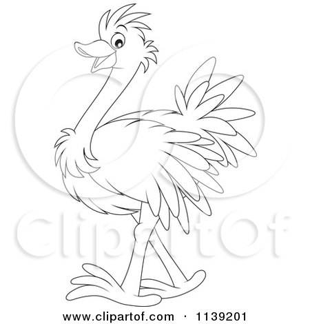 Cartoon Of A Cute Black And White Baby Ostrich - Royalty Free Vector Clipart by Alex Bannykh