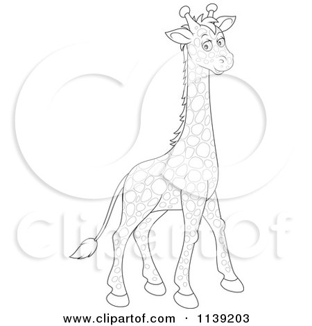 Cartoon Of A Cute Black And White Giraffe - Royalty Free Vector Clipart by Alex Bannykh