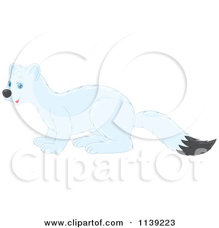 Cartoon Of A Cute White Weasel - Royalty Free Vector Clipart by Alex Bannykh