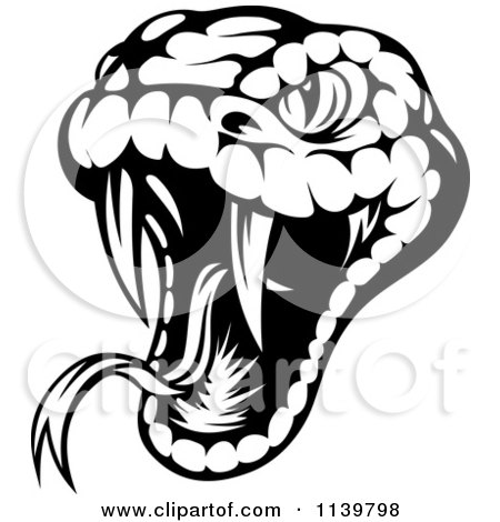 Clipart Of A Biting Black And White Viper Snake - Royalty Free Vector Illustration by Vector Tradition SM