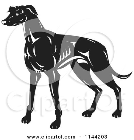 Clipart of a Retro Black and White Greyhound Dog - Royalty Free Vector Illustration by patrimonio