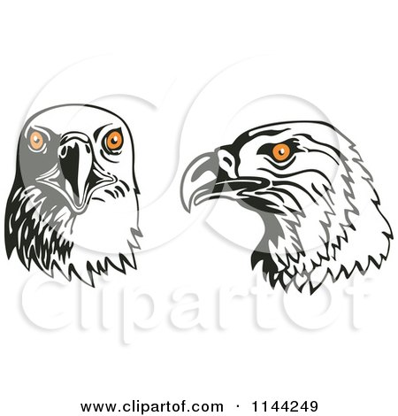 Clipart of Eagle Heads with Orange Eyes - Royalty Free Vector Illustration by patrimonio