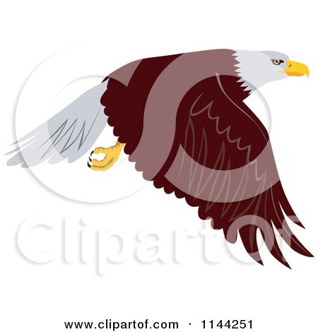Clipart of a Bald Eagle Flying 1 - Royalty Free Vector Illustration by patrimonio