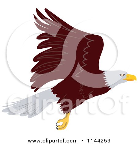 Clipart of a Bald Eagle Flying 2 - Royalty Free Vector Illustration by patrimonio
