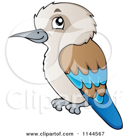 Cartoon of a Cute Aussie Kookaburra Bird - Royalty Free Vector Clipart by visekart