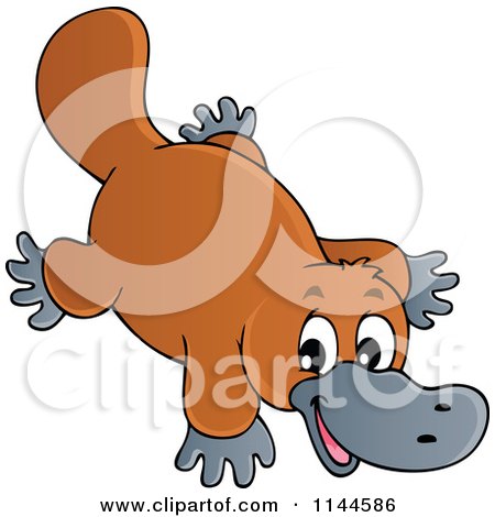 Cartoon of a Cute Australian Platypus - Royalty Free Vector Clipart by visekart