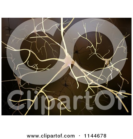Clipart of a 3d Brain Neuron Network - Royalty Free CGI Illustration by Mopic