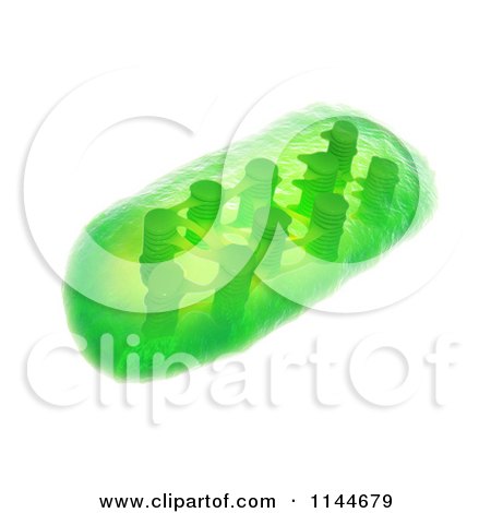 Clipart of a 3d Green Plant Chloroplast 2 - Royalty Free CGI Illustration by Mopic