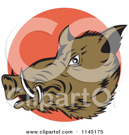 Clipart of a Retro Wild Boar Pig Head over an Orange Circle - Royalty Free Vector Illustration by patrimonio