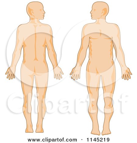 Clipart of a Human Anatomy Man Front and Back - Royalty Free Vector Illustration by patrimonio
