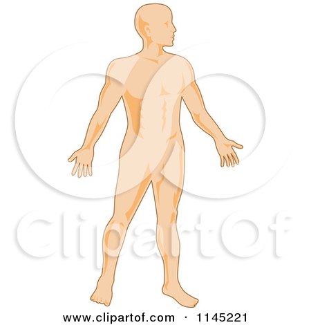 Clipart of a Human Anatomy Man - Royalty Free Vector Illustration by patrimonio