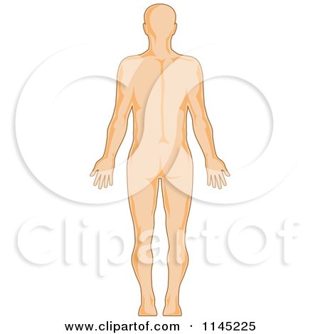 Clipart of a Human Anatomy Mans Back Side - Royalty Free Vector Illustration by patrimonio