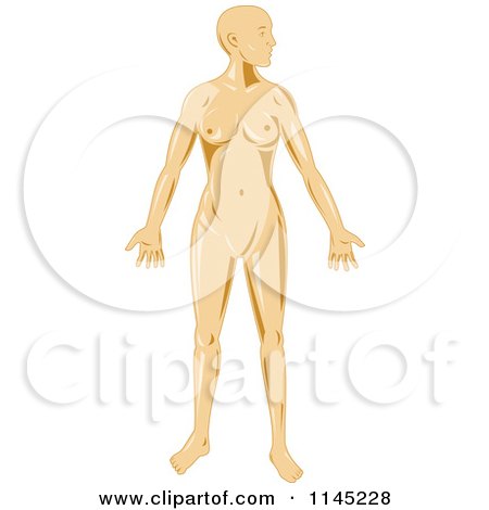 Clipart of a Human Anatomy Woman - Royalty Free Vector Illustration by patrimonio