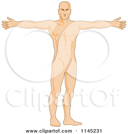 Clipart of a Human Anatomy Man Holding His Arms out - Royalty Free Vector Illustration by patrimonio