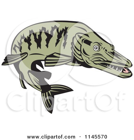 Clipart of a Green Muskellunge Fish - Royalty Free Vector Illustration by patrimonio