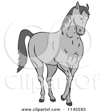 Clipart of a Gray Horse - Royalty Free Vector Illustration by patrimonio