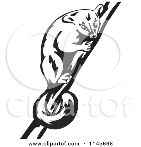 Clipart of a Retro Black and White Possum on a Branch - Royalty Free Vector Illustration by patrimonio