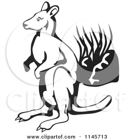 Clipart of a Black and White Wallaby by Plants - Royalty Free Vector Illustration by patrimonio