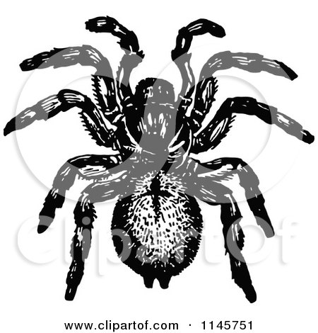 Clipart of a Retro Vintage Black and White Trap Door Spider - Royalty Free Vector Illustration by Prawny Vintage