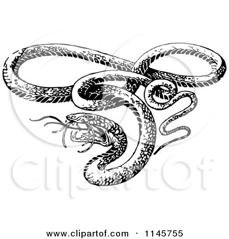 Clipart of a Retro Vintage Black and White Vicious Snake - Royalty Free Vector Illustration by Prawny Vintage