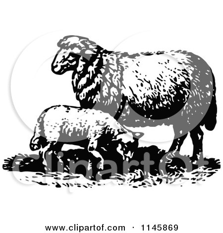 Clipart of a Retro Vintage Black and White Lamb and Sheep - Royalty Free Vector Illustration by Prawny Vintage