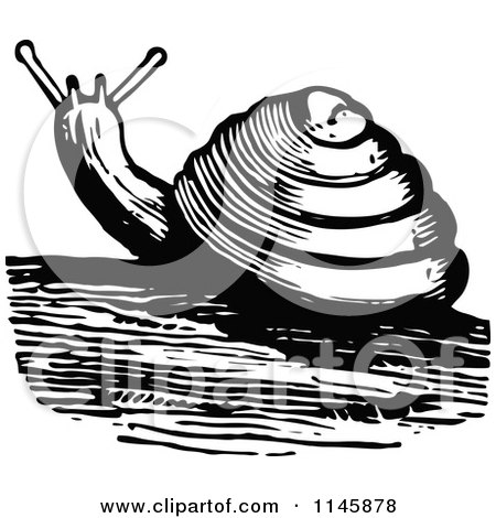 Clipart of a Retro Vintage Black and White Snail - Royalty Free Vector Illustration by Prawny Vintage