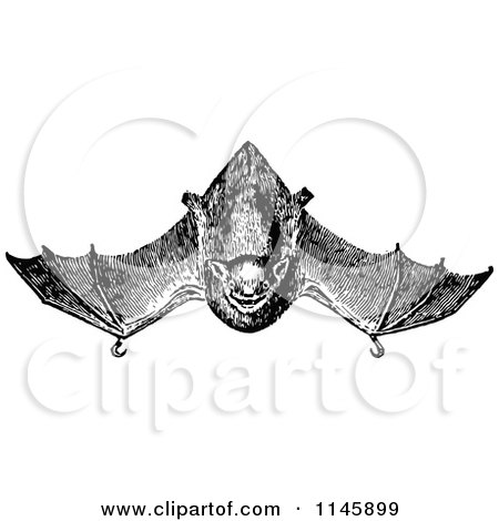Clipart of a Retro Vintage Black and White Vampire Bat Flying - Royalty Free Vector Illustration by Prawny Vintage
