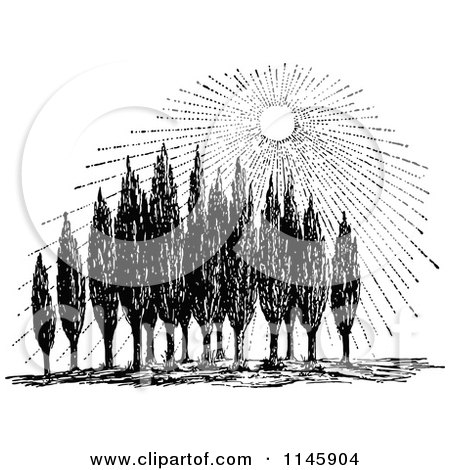 Clipart of a Retro Vintage Black and White Sun Shining down on Cypress Trees - Royalty Free Vector Illustration by Prawny Vintage