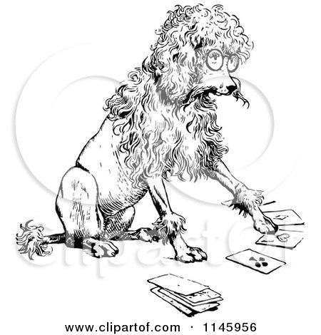 Clipart of a Retro Vintage Black and White Clever Poodle Playing Cards| Royalty Free Vector Illustration by Prawny Vintage