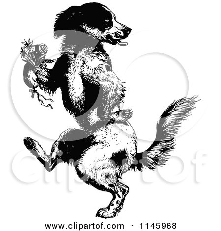 Clipart of a Retro Vintage Black and White Dog Dancing Upright with a Boutonniere - Royalty Free Vector Illustration by Prawny Vintage
