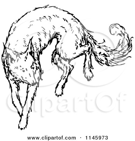 Clipart of a Retro Vintage Black and White Resting Dog - Royalty Free Vector Illustration by Prawny Vintage