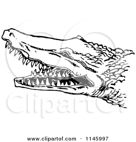 Clipart of a Retro Vintage Black and White Crocodile with Sharp Teeth - Royalty Free Vector Illustration by Prawny Vintage