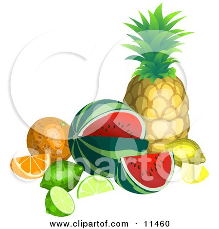 Still Life of Tropical Fruits, Pineapple, Watermelon, Lemon, Lime, Orange Clipart Illustration by AtStockIllustration