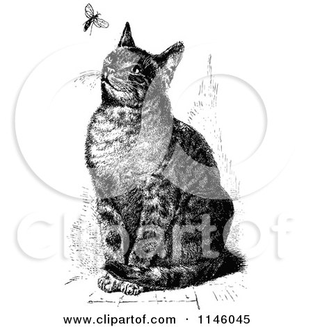 Clipart of a Retro Vintage Black and White Sitting Cat Watching a Fly - Royalty Free Vector Illustration by Prawny Vintage
