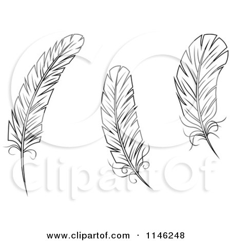 Clipart of Black and White Feathers - Royalty Free Vector Illustration by Vector Tradition SM