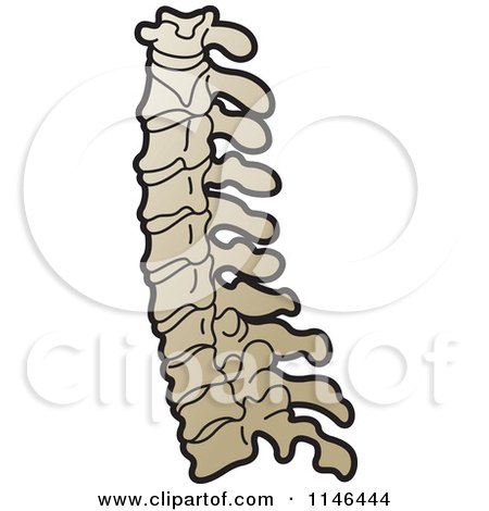 Clipart of a Spine - Royalty Free Vector Illustration by Lal Perera